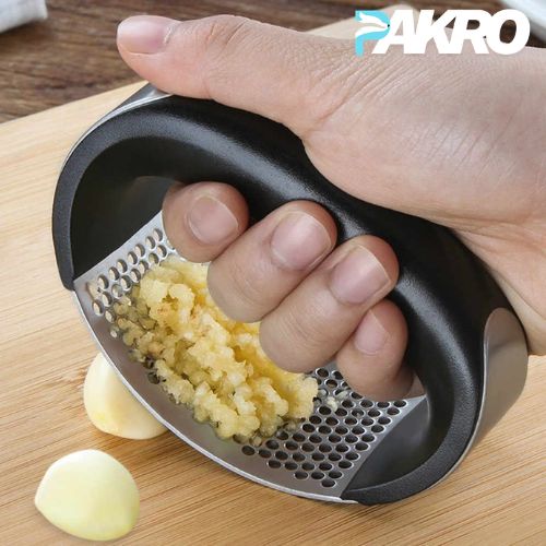 Manual Garlic Press Stainless Steel Handheld Ginger