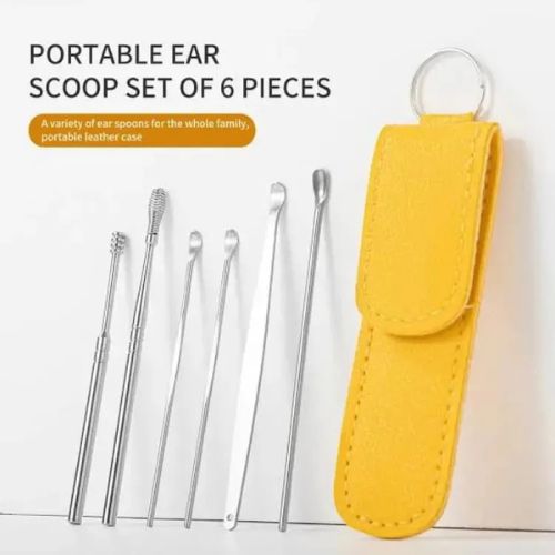 6 Pcs Stainless Steel Ear Wax Removal Kit with Case