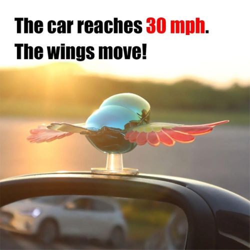 Colorful Bird Motorcycle & Car Ornament Waving Wings Flying