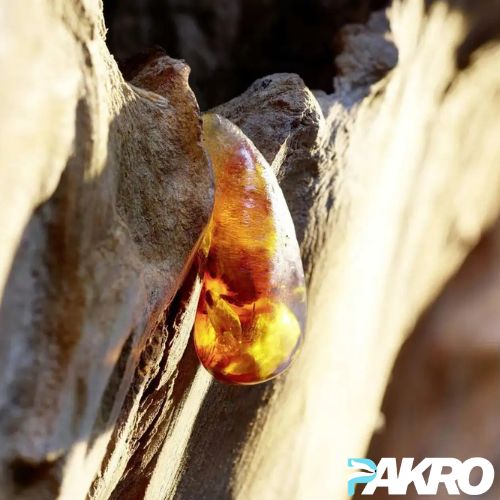 Amber stone embedded in a rock with 'PAKRO' branding.