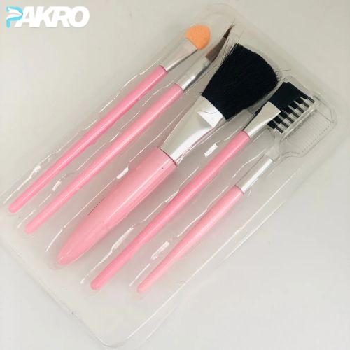 5 Pieces Makeup Brush Set